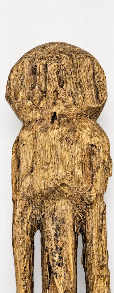 LS-388 detail